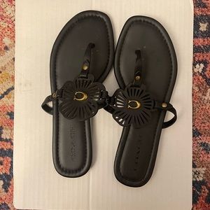Coach Thong Sandles
